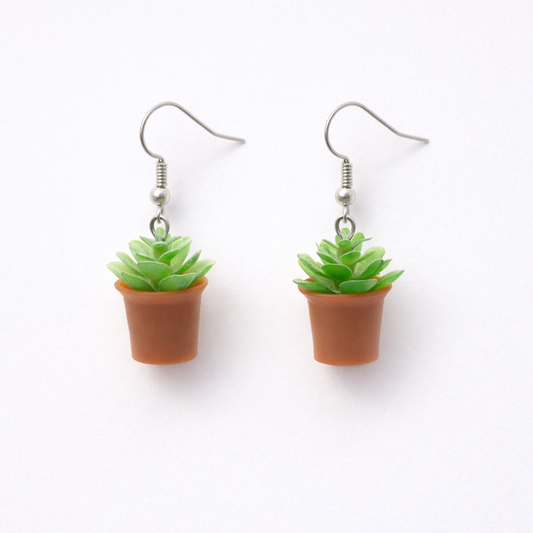 Aretes suculenta en maceta